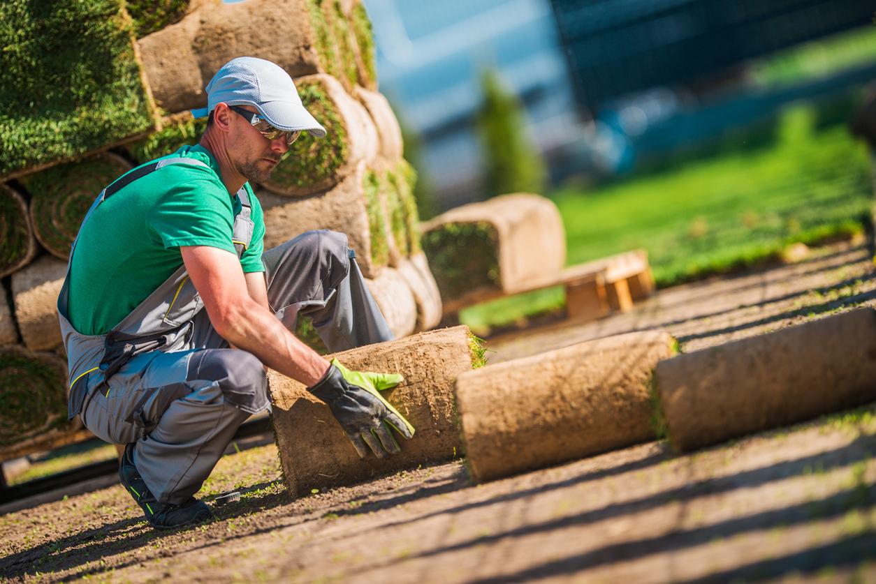 Man laying lawn turf